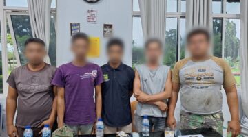 Jatanras Sat Reskrim Polres Simalungun Kembali Beraksi, Ringkus 5 Bandit Pencuri TBS di PTPN-4