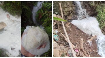 Legalitas Operasi dan Ekspor PT Rosin Trading Internasional Dipersoalkan, Polda Aceh Diminta Selidiki