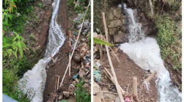 Sawah Warga Diduga Tercemar, PT Rosin Internasional Didesak Patuh pada Hukum Lingkungan