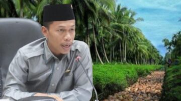 “Petani Kelapa Menjerit” Harga Tak Kunjung Membaik, ADT Si Anak Parit Minta Presiden Prabowo Bangun Pabrik Hilirisasi Kelapa di Inhil