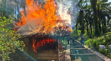 Polres Simalungun Gerebek Sarang Narkoba Di Tanah Jawa, Lima Tersangka Diringkus Dan 99,74 Gram Sabu Disita