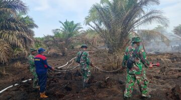 Kodam XIX/Tuanku Tambusai Terus Berjibaku Padamkan Karhutla di Rengat, 2,4 Hektare Lahan Berhasil Diamankan