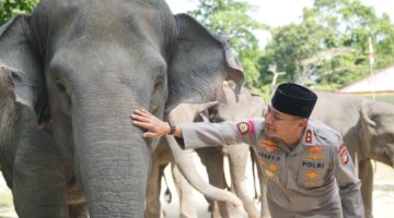 Dukung Inpres Prabowo, Green Policing Polda Riau Siap Jadi Garda Terdepan Penyelamatan Gajah