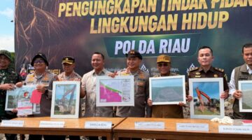 BKSDA Apresias Polda Riau Ungkap Perusakan Mangrove di Rohil