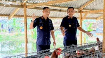 Warga Binaan Produktif dan Mandiri, Rutan Tanjung Pura Sukses Kembangkan Kawasan Ketahanan Pangan Terpadu